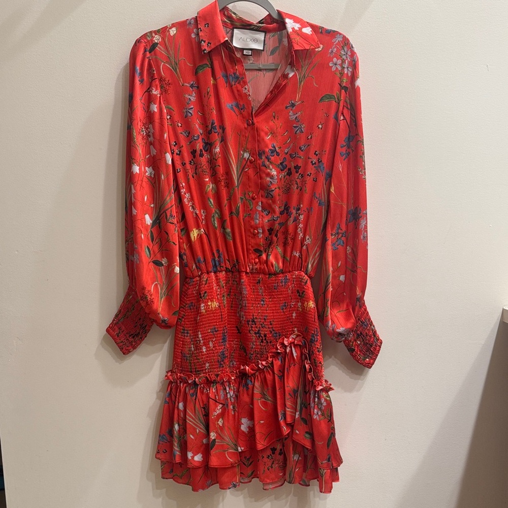 Alexis Red Floral Long Sleeve mini  Dress Rianna red xs